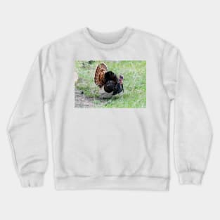 Mr. Tom Gobbler Crewneck Sweatshirt